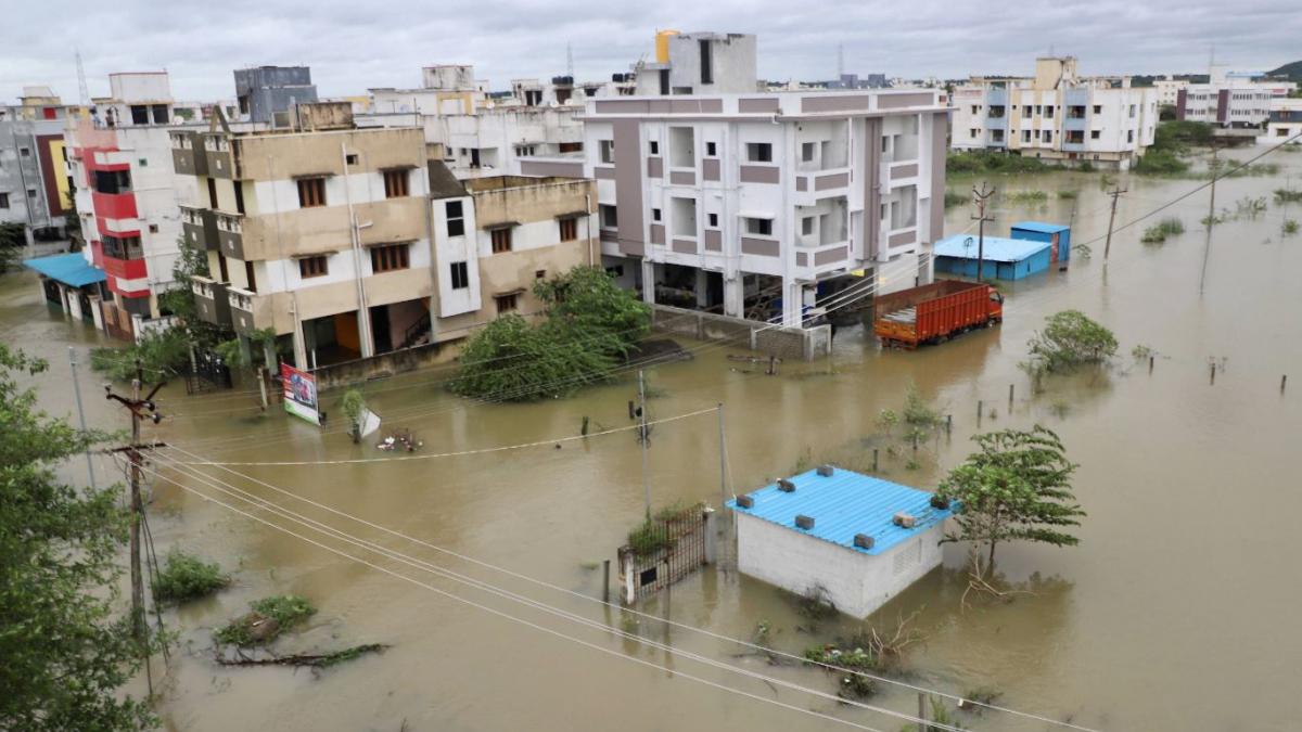 निवार तूफान के बाद तमिलनाडु के हालात (फोटो- पीटीआई)