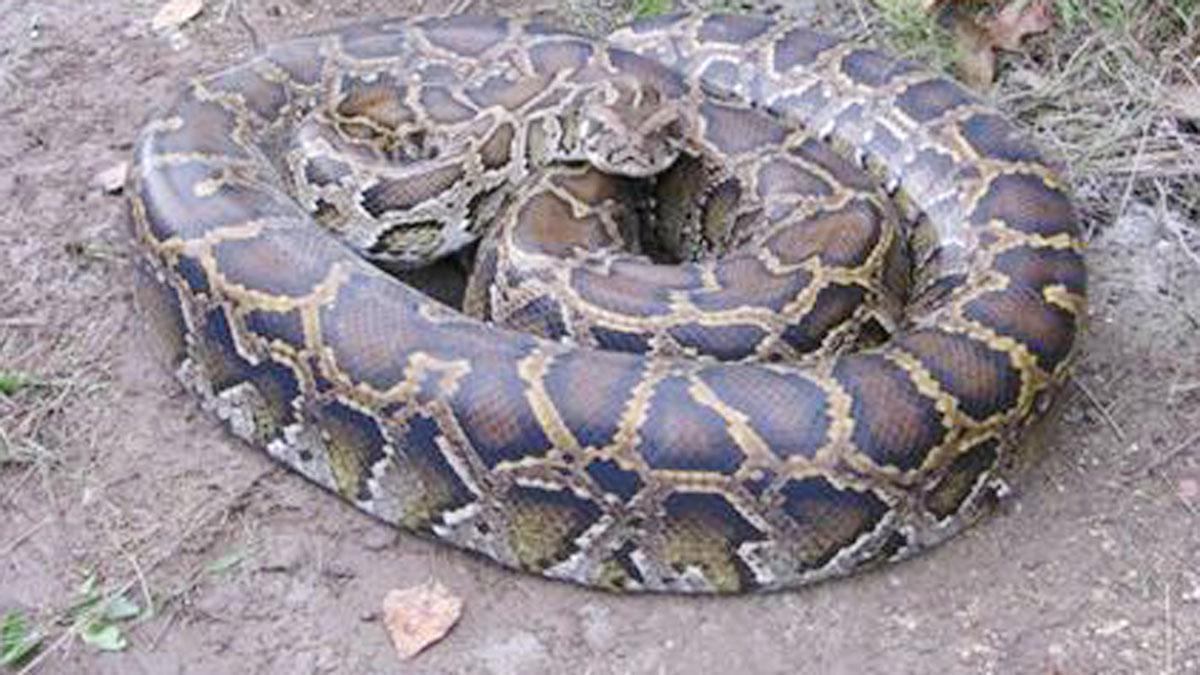 (प्रतीकात्मक फोटो)