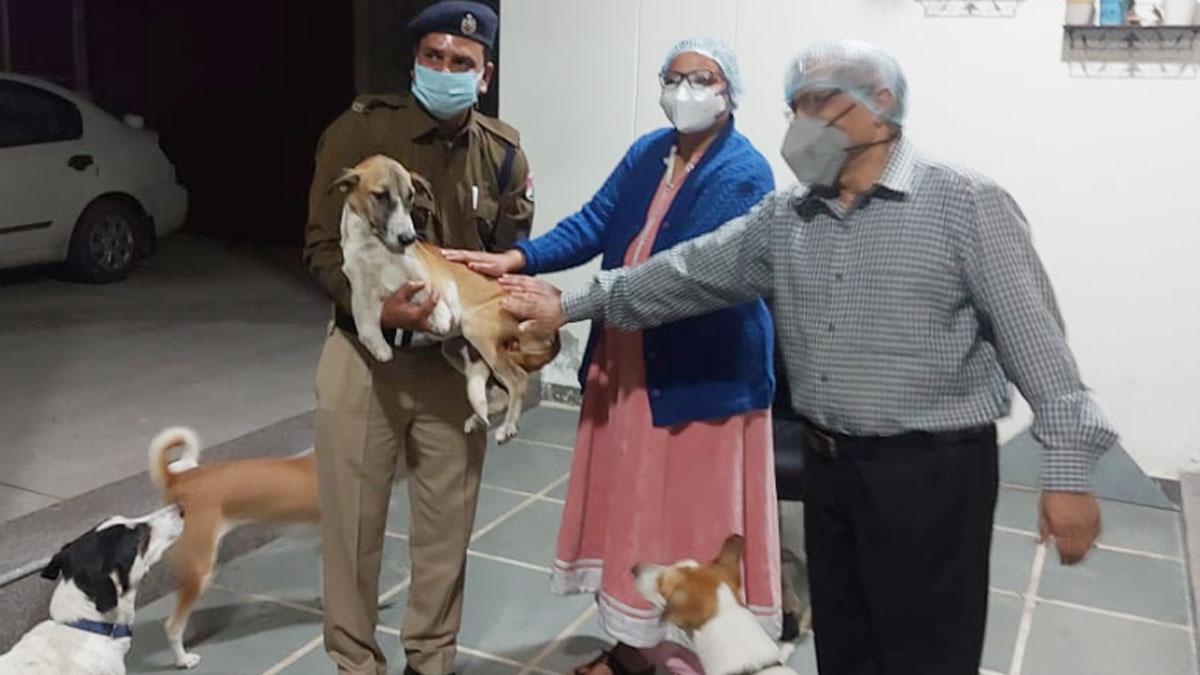  डॉगी रॉकी की विदाई पार्टी (फोटो आजतक)