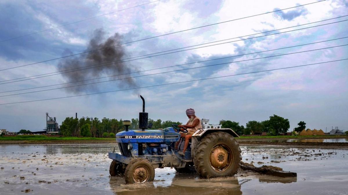 ग्रामीण इलाकों से इकोनॉमी को सहारा (फाइल फोटो: PTI) 