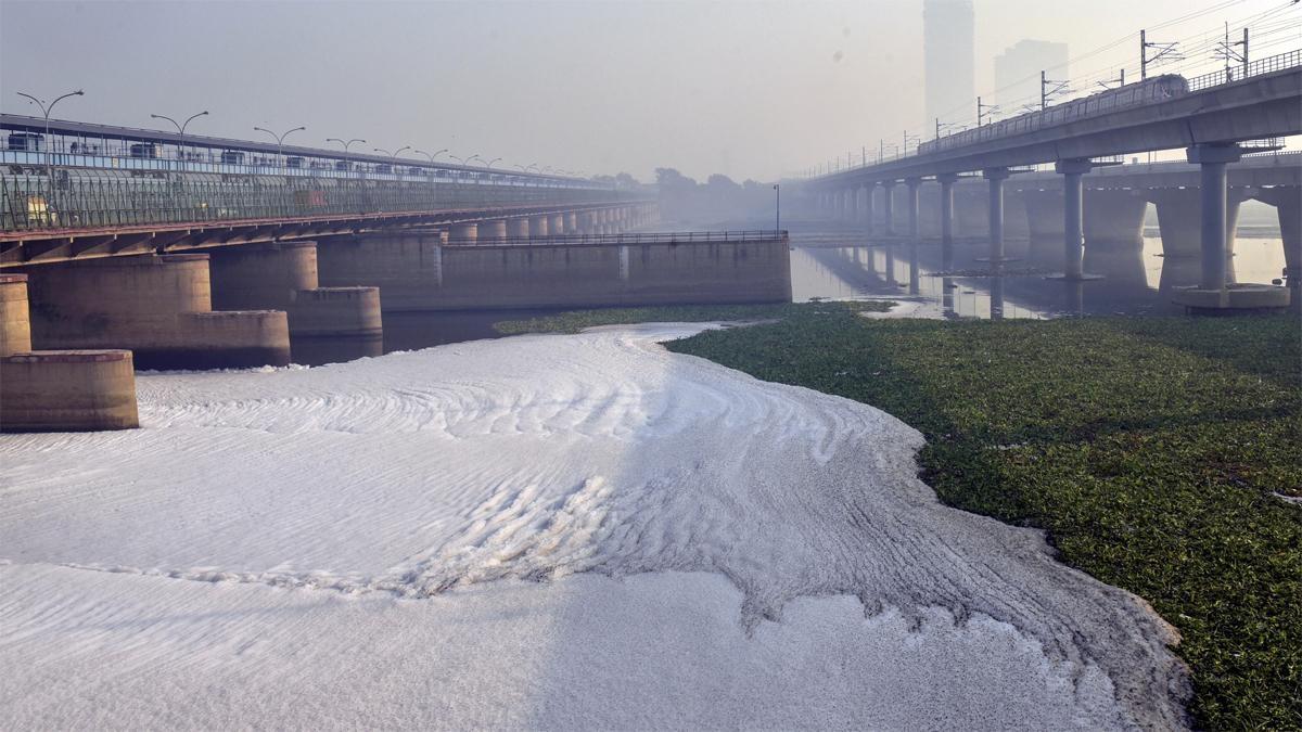 दिल्ली में यमुना में अमोनिया का स्तर बढ़ गया है. (फाइल फोटो)