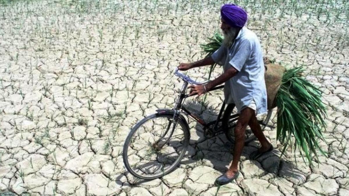 किसानों की हालत लगातार दयनीय (फाइल फोटो: Reuters) 