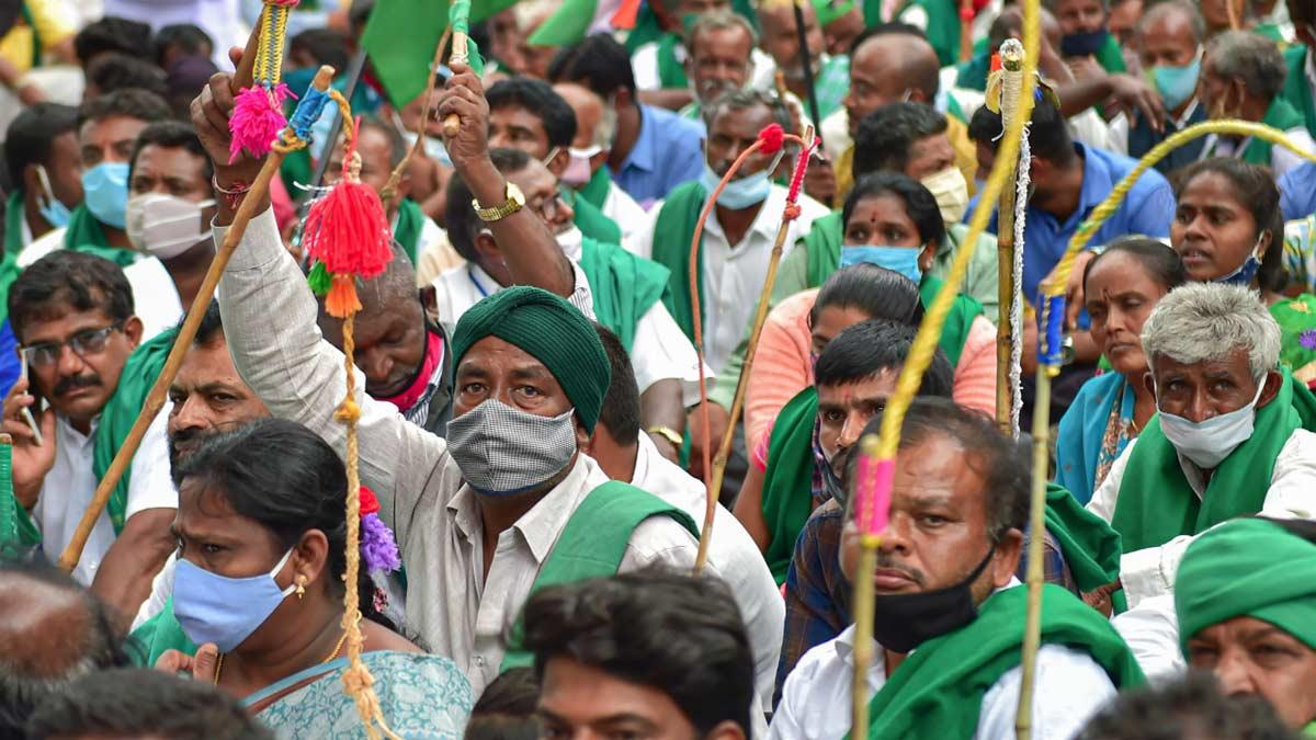 किसान तीनों कृषि कानूनों को निरस्त करने की मांग कर रहे (पीटीआई)