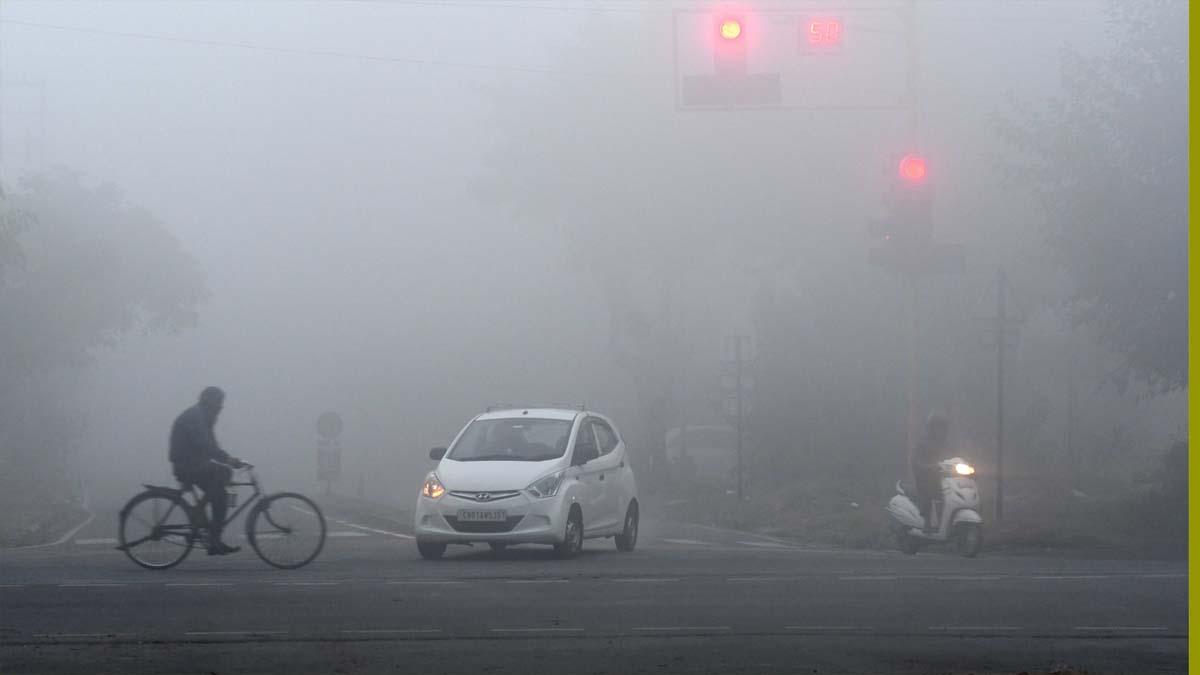 Fog In Delhi-NCR