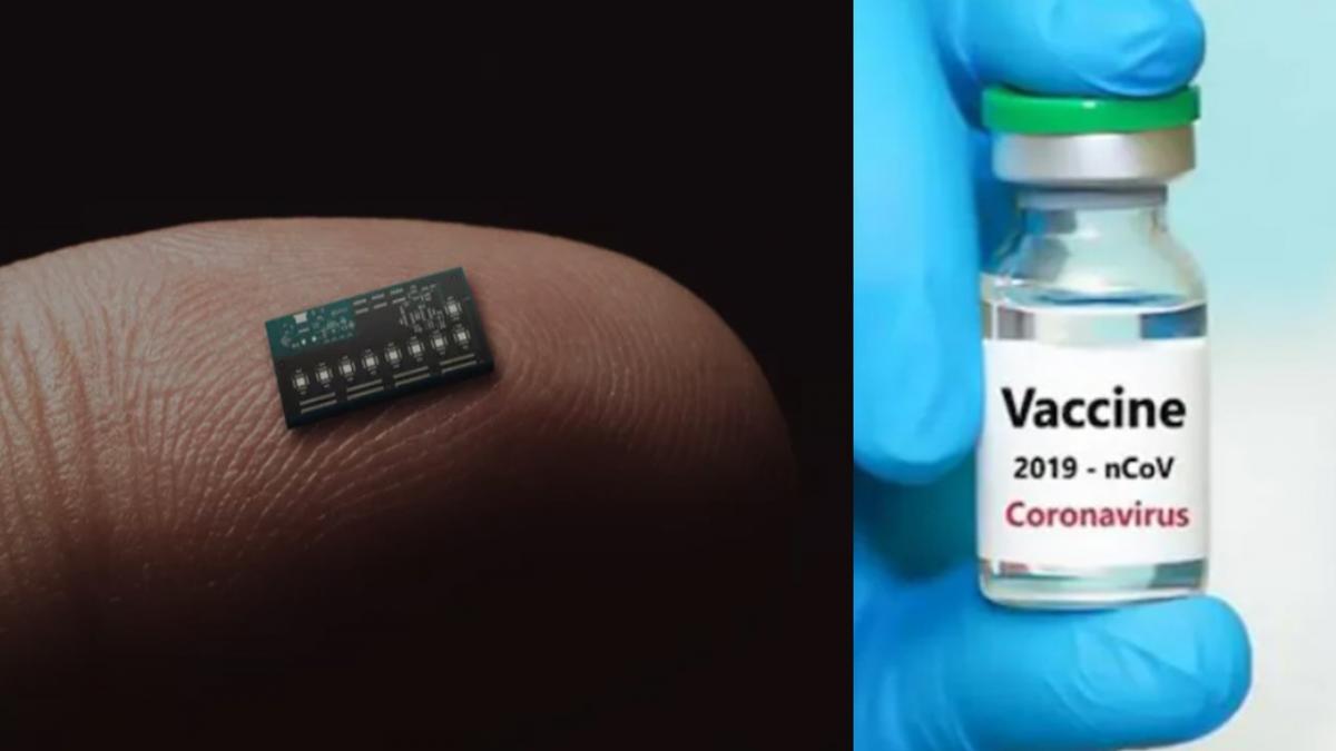 सोशल मीडिया यूजर्स