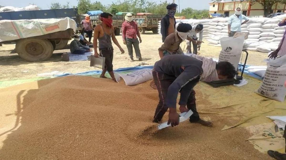 अनाज मंडी (तस्वीर- आज तक)