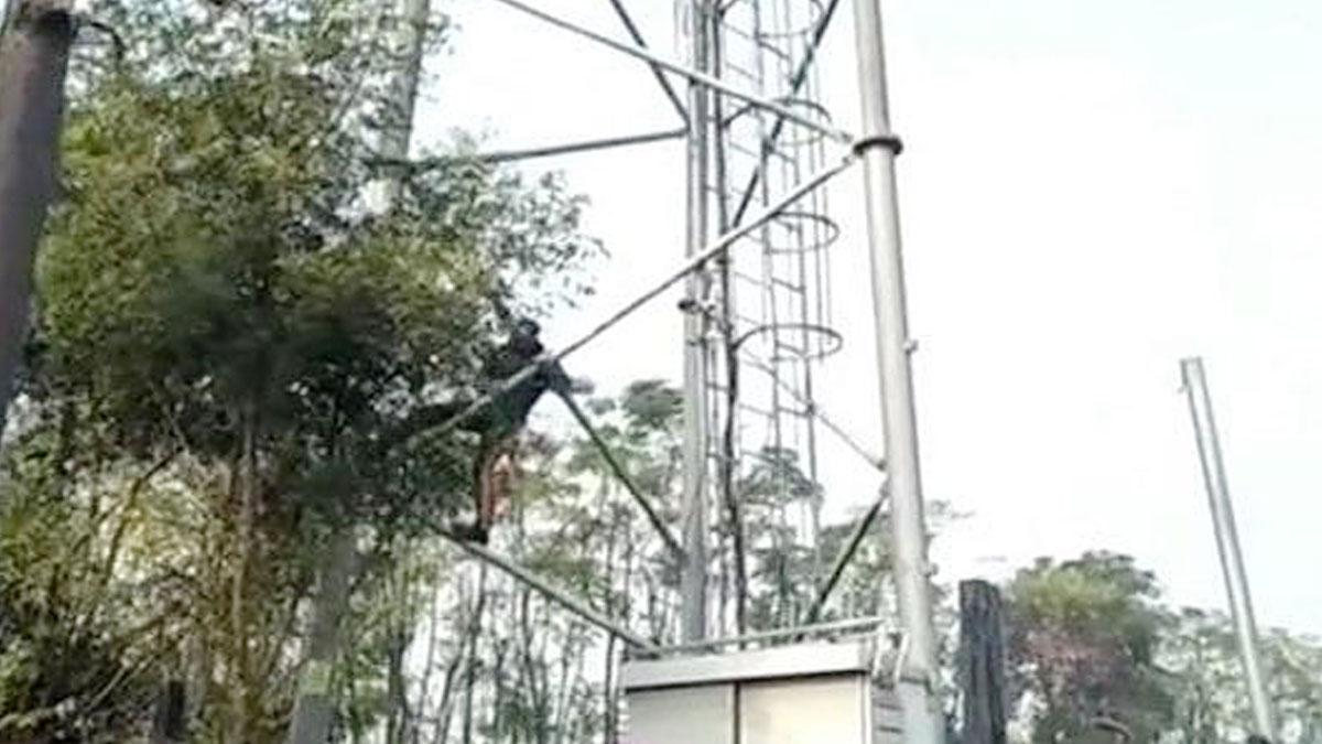 पंजाब में मोबाइल टावरों को पहुंचाया गया नुकसान (फाइल फोटो)