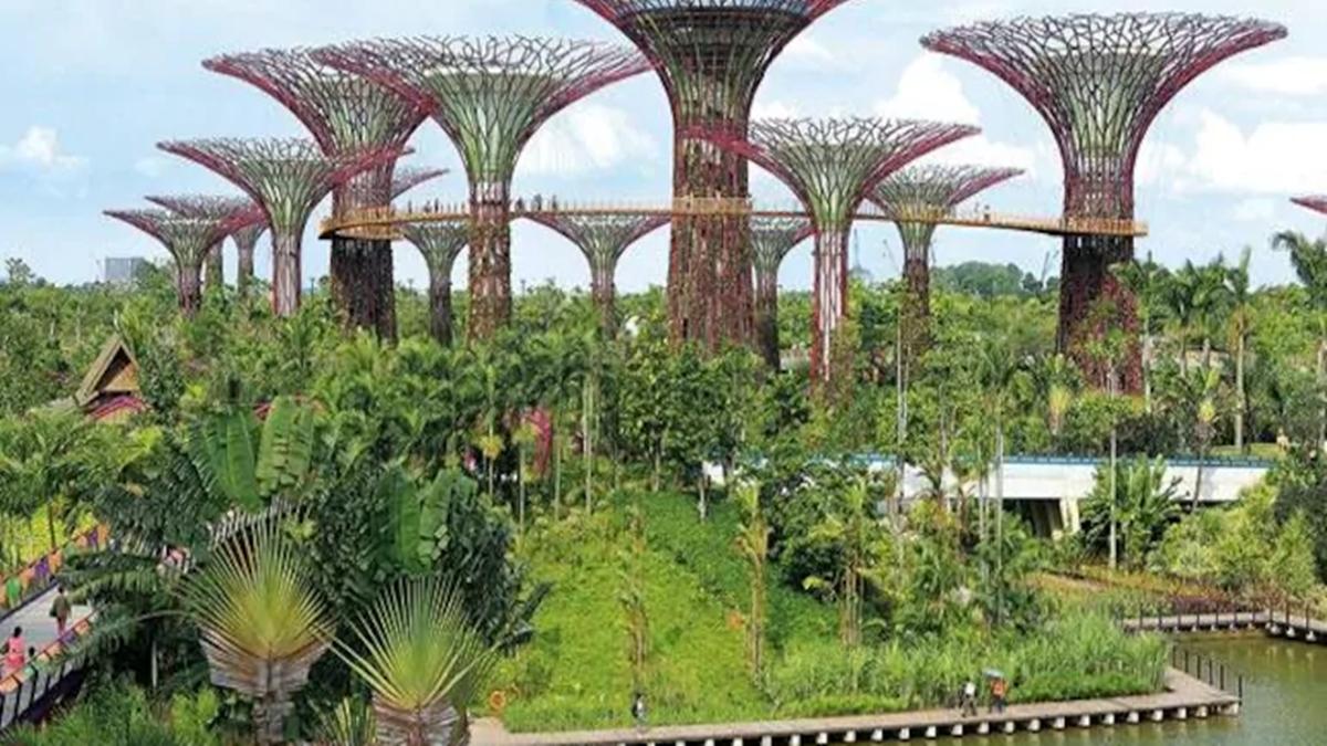 प्रतीकात्मक चित्र 