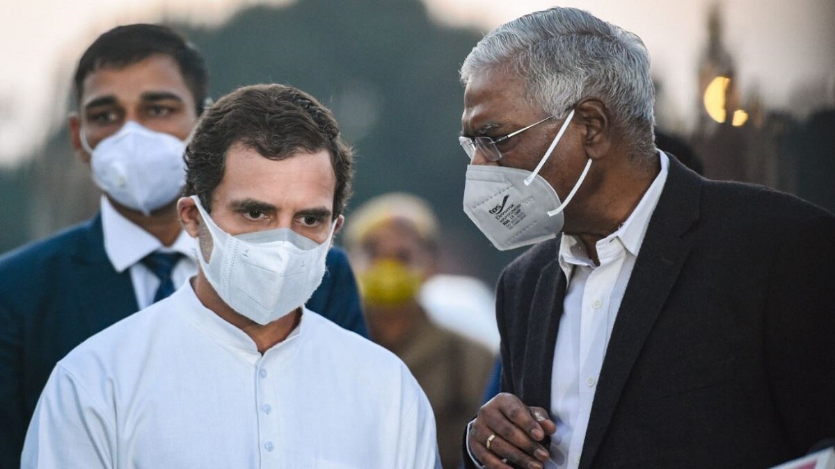 कांग्रेस के पूर्व अध्यक्ष राहुल गांधी (पीटीआई)