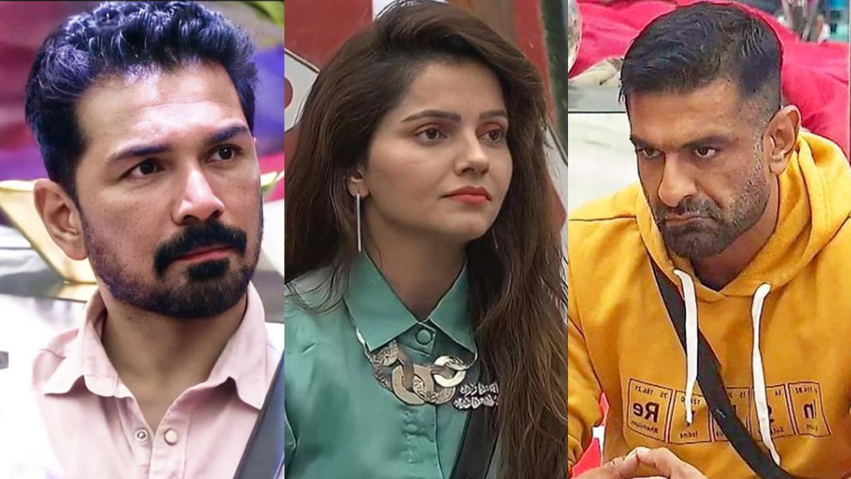 अभ‍िनव-रुबीना-एजाज 