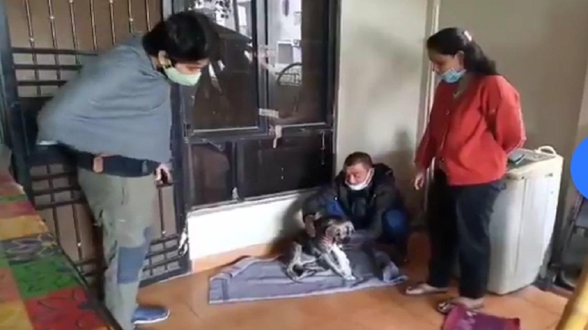 घायल कुत्ते की देखभाल करते सोसाइटी के सदस्य