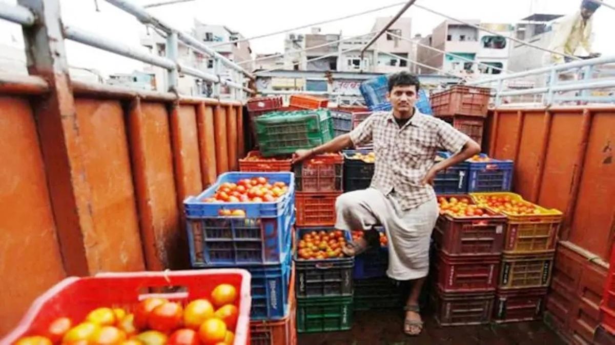 टमाटर की कीमत घटने से किसान परेशान (फाइल फोटो) 