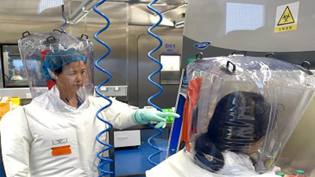 चीन ने 'बैट वुमेन' जेंगली को किया सम्मानित