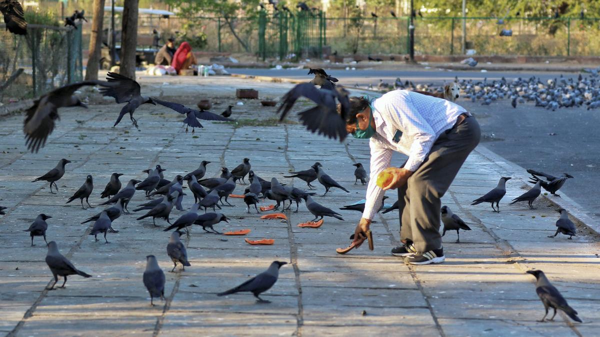 सांकेतिक तस्वीर (फाइल फोटो-PTI)