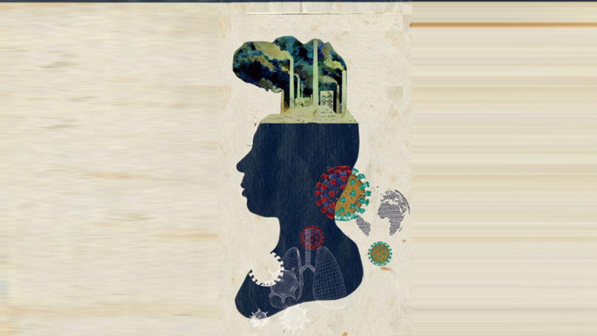 पर्यावरण और जलवायु परिवर्तन