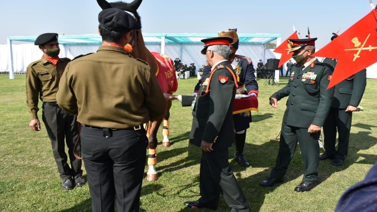 आर्मी चीफ ने रियो घोड़े को प्रशंसा अवार्ड से नवाजा 