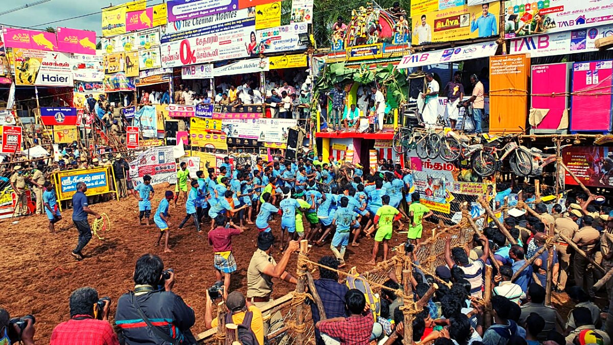 जल्लीकट्टू खेल के दौरान मदुरै में 58 लोग घायल हो गए