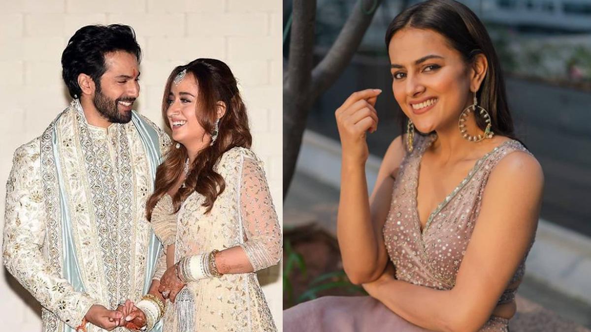 वरुण-नताशा, श्रद्धा श्रीनाथ 