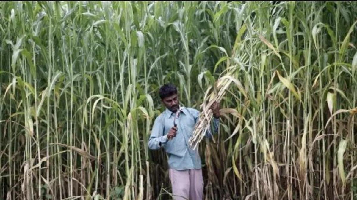 प्रतीकात्मक तस्वीर (फोटो-रॉयटर्स)