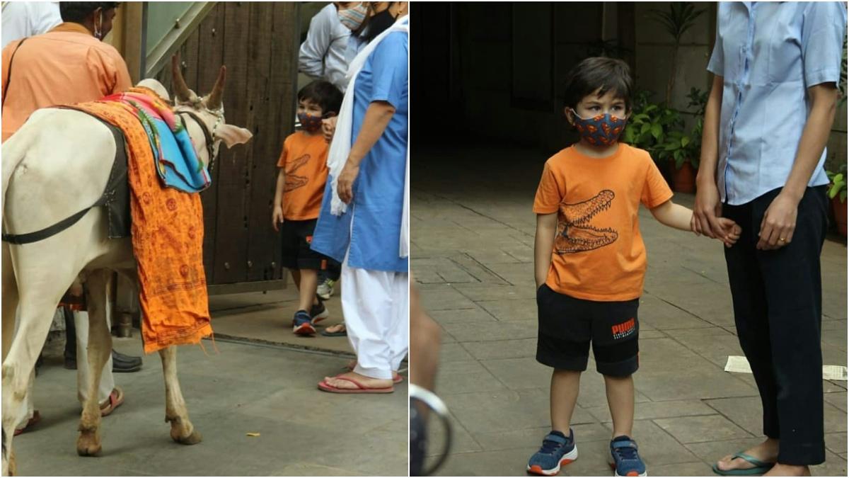 तैमूर अली खान