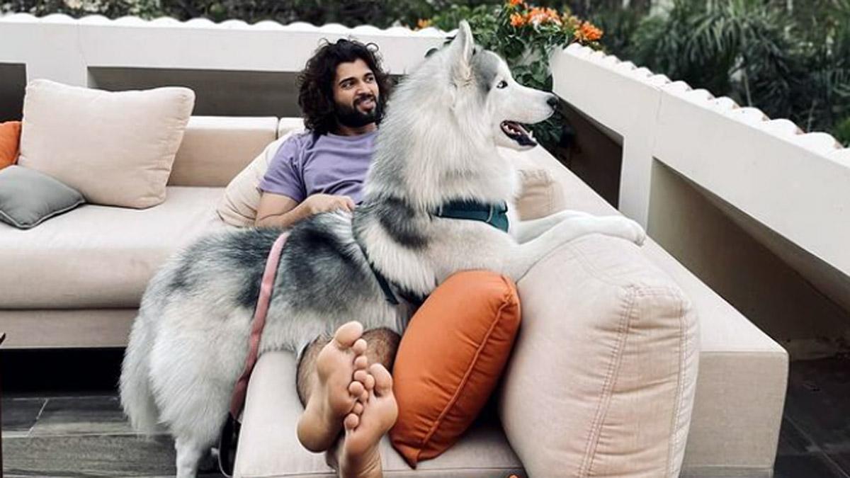 व‍िजय देवराकोंडा अपने पेट डॉग के साथ 