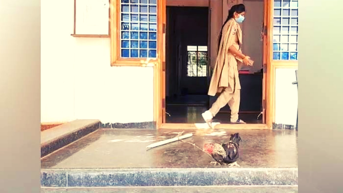 पुलिस थाने में मुर्गा 