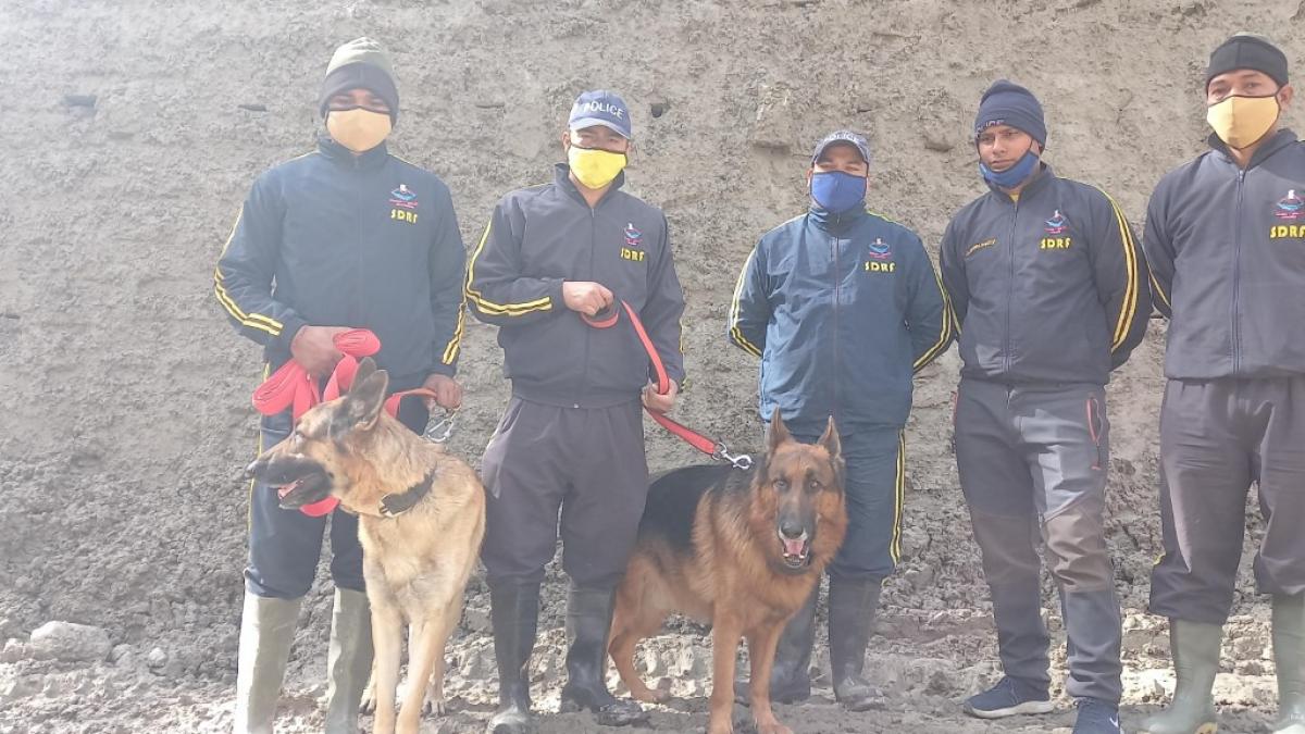 रेस्क्यू ऑपरेशन में लगी एसडीआरएफ की डॉग स्क्वायड टीम