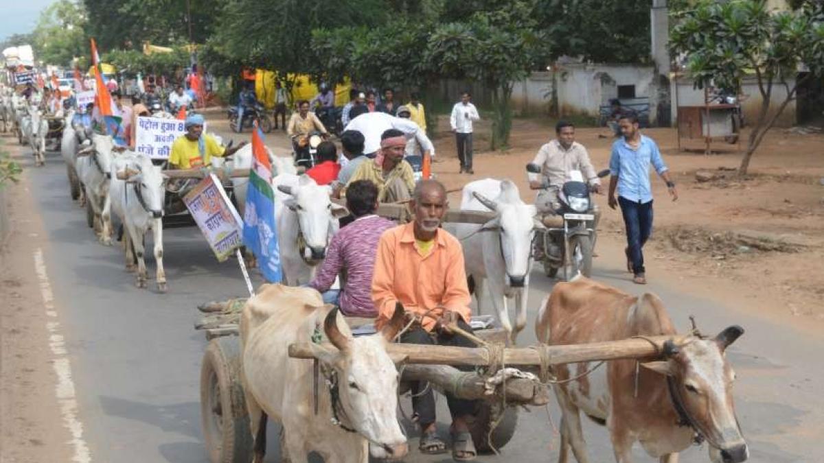 सोशल मीडिया यूजर्स