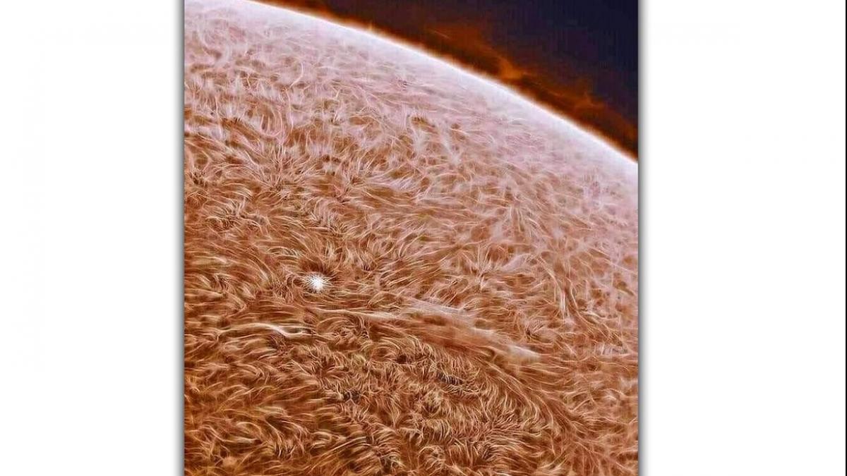 सोशल मीडिया यूजर्स