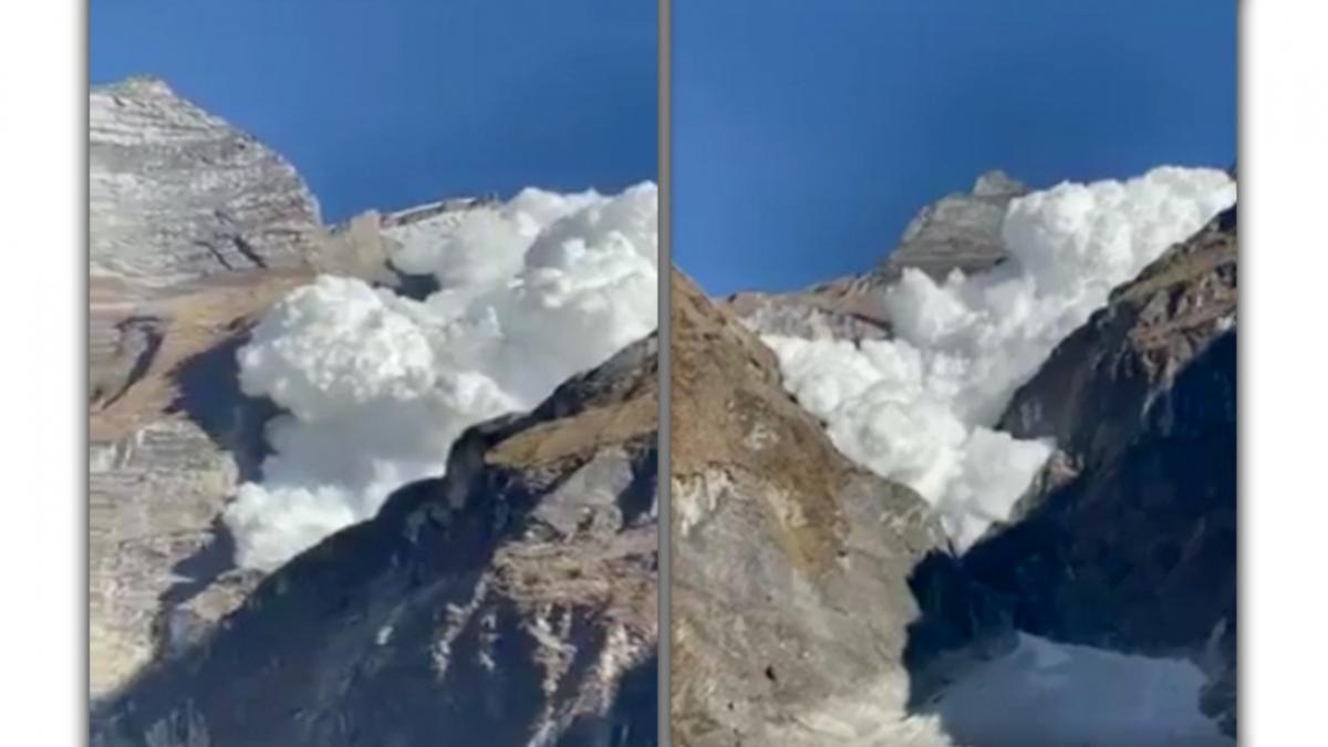 सोशल मीडिया यूजर्स