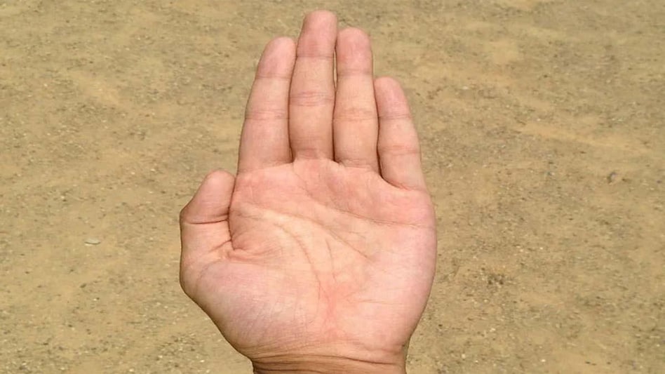 हस्तरेखा: पतली-लंबी उंगलियों वाले ...