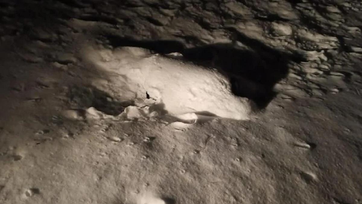 हिमाचल प्रदेश में एक शख्स का शव बर्फ से जकड़ा मिला. (फोटो -ANI)