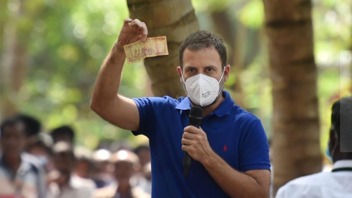 कांग्रेस सांसद राहुल गांधी (फोटो- पीटीआई)