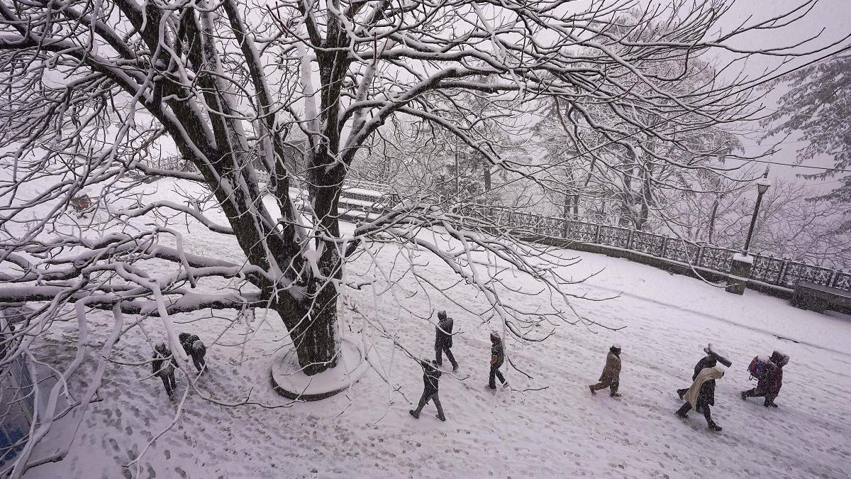 Weather Update: शिमला में हुई बर्फबारी