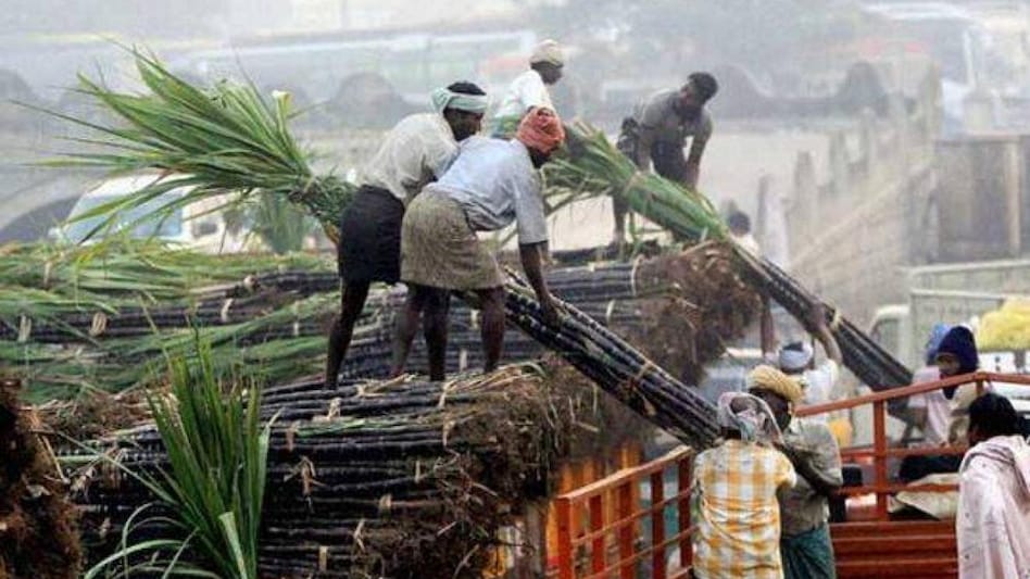तीन साल-वही दाम, यूपी सरकार के फैसले से गन्ना किसानों का मुंह हुआ कड़वा - uttar pradesh sugarcane yogi adityanath govt four years neither increased the price nor paid kisan andolan -