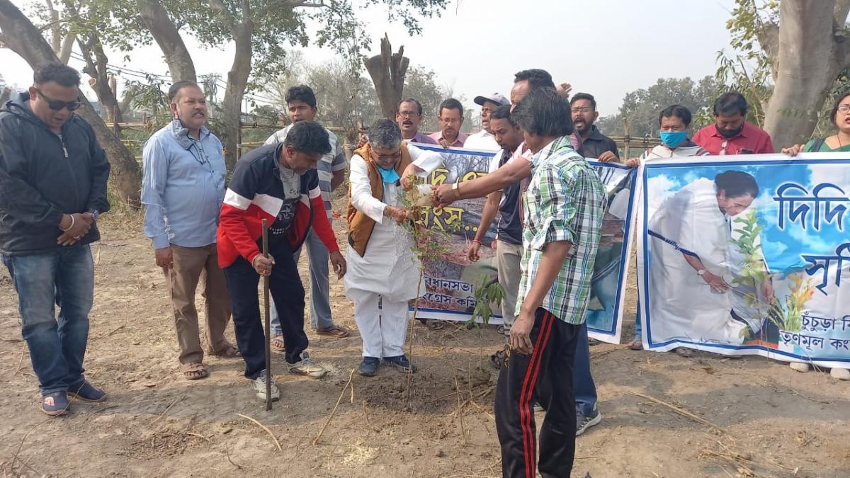 टीएमसी कार्यकर्ताओं ने वृक्षारोपण भी किया