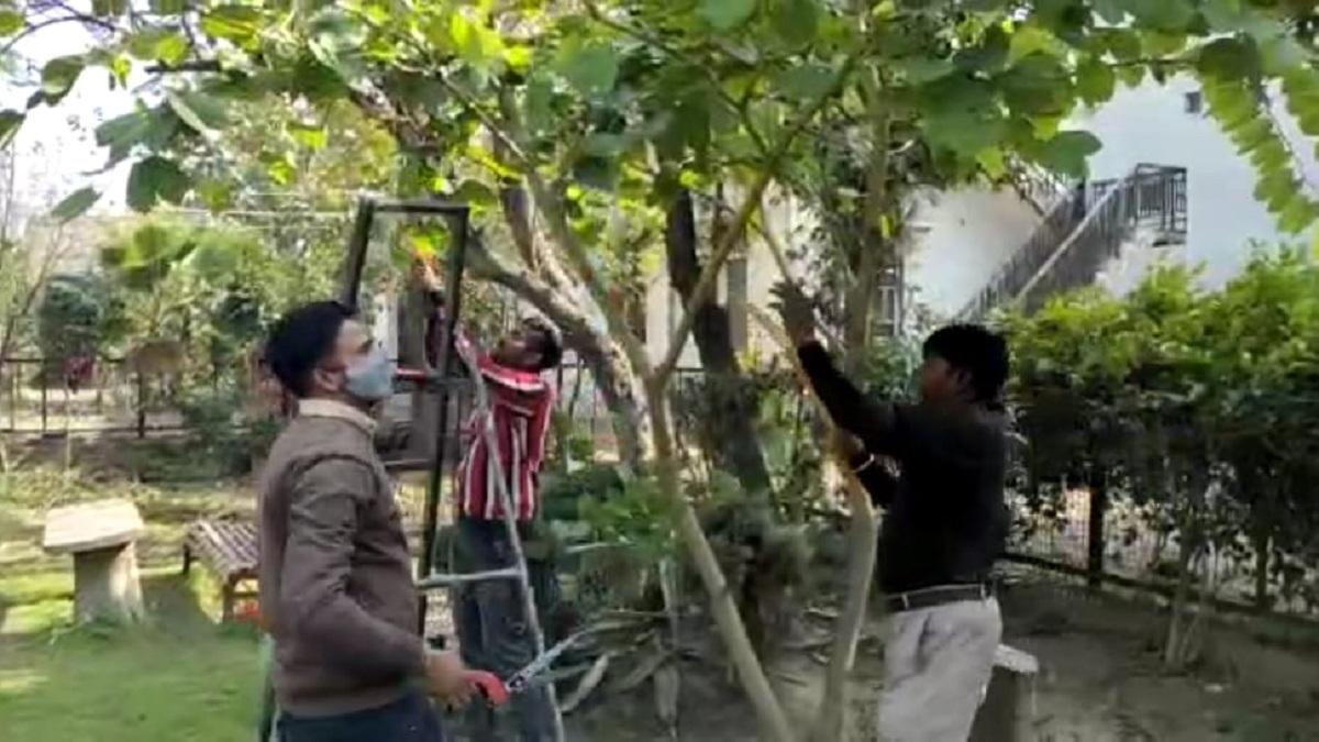 अमृतसर में एक IRS अधिकारी ने पेड़-पौधों के लिए अस्पताल व एंबुलेंस सेवा शुरू की है. (फोटो-आजतक)