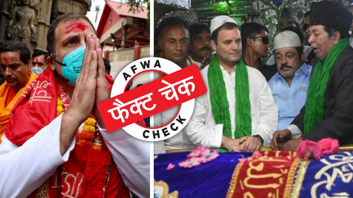 सोशल मीडिया यूजर्स