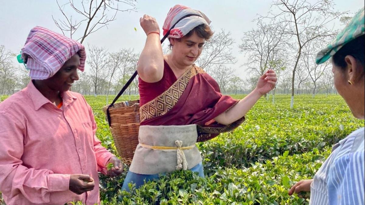 असम के तेजपुर में चाय बागान मजदूरों से मिलेंगी प्रियंका गांधी, महाभैरव मंदिर भी जाएंगी - Priyanka Gandhi assam visit congress election campaign temple visit - AajTak