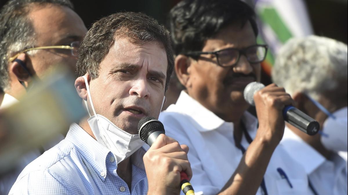 कांग्रेस सांसद राहुल गांधी (PTI)