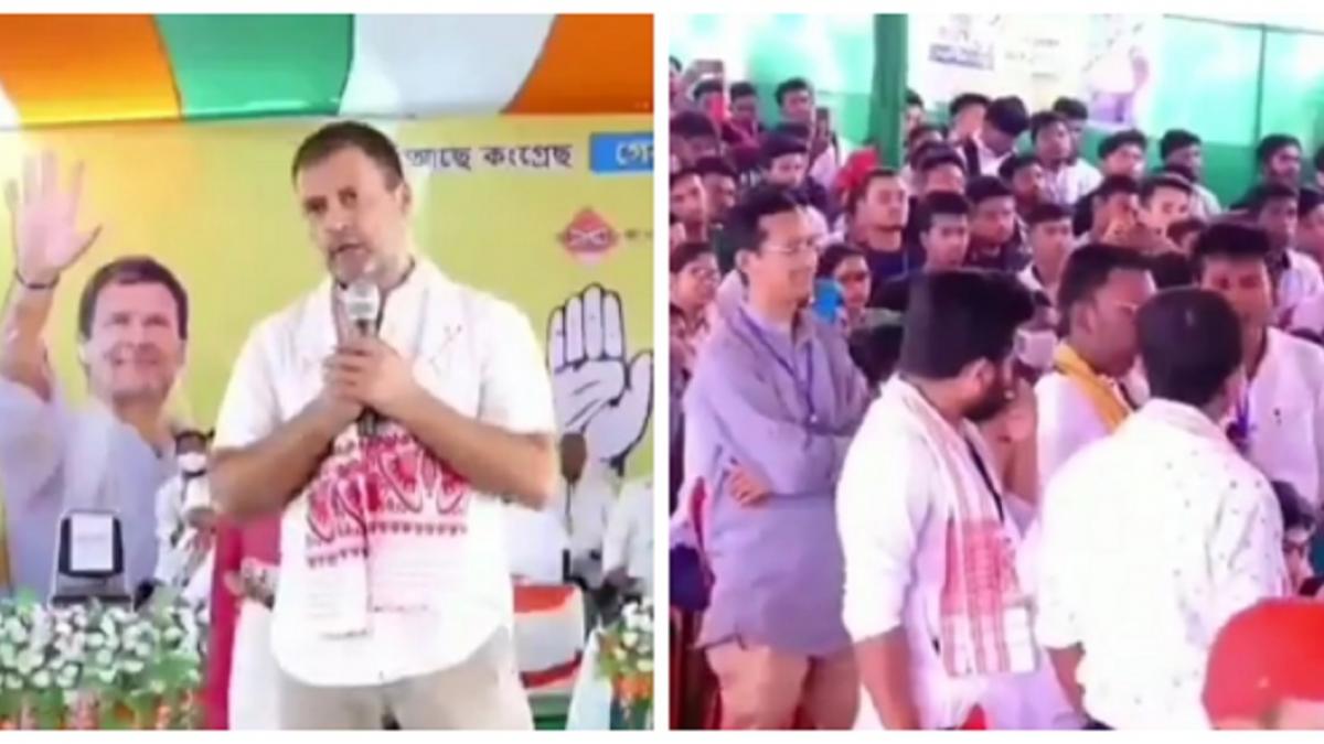 वायरल हो रहा है राहुल गांधी का वीडियो