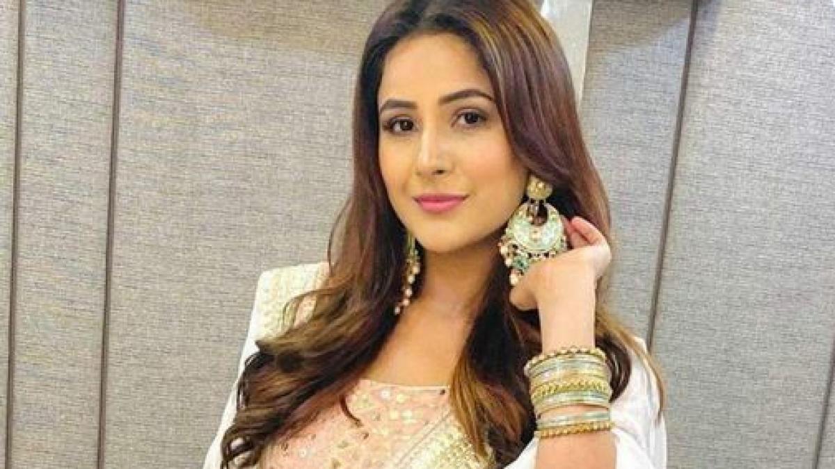 शहनाज गिल