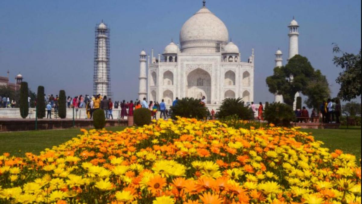 ताजमहल (फोटो- पीटीआई)