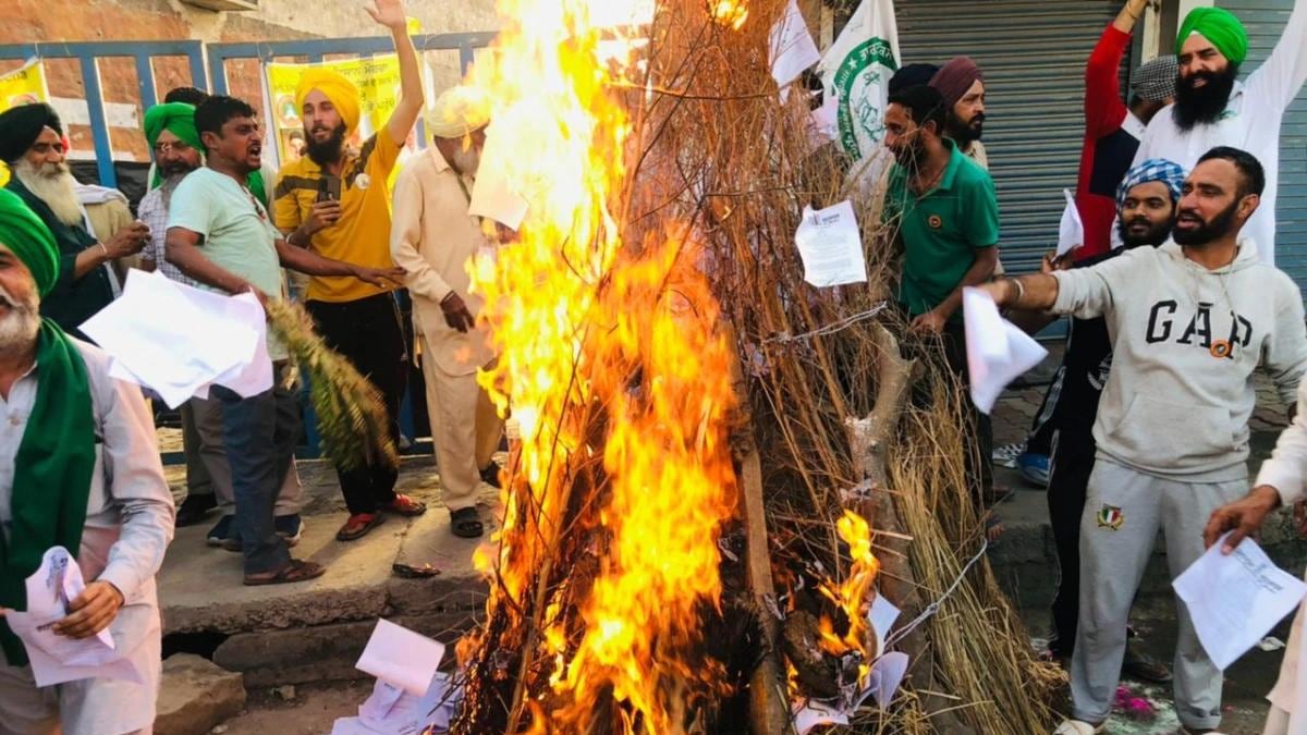 दिल्लीः होलिका दहन पर किसानों ने कृषि कानूनों की प्रतियां जलाईं, आगे का प्लान भी बताया - Farmers Protest Farmers Burns Copies of Three Farm Laws To Celebrate Holika Dahan in Delhi -