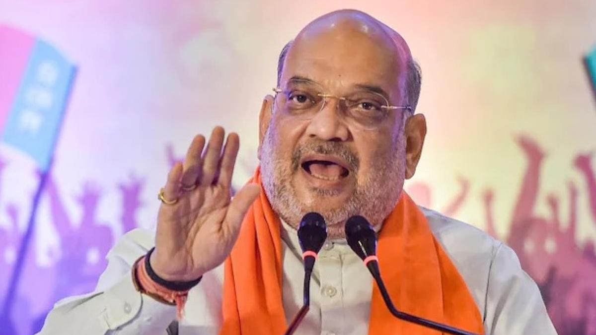 केंद्रीय गृह मंत्री अमित शाह (फोटो: PTI)