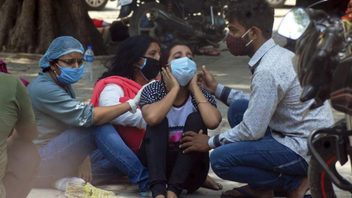 बड़ी खबरें