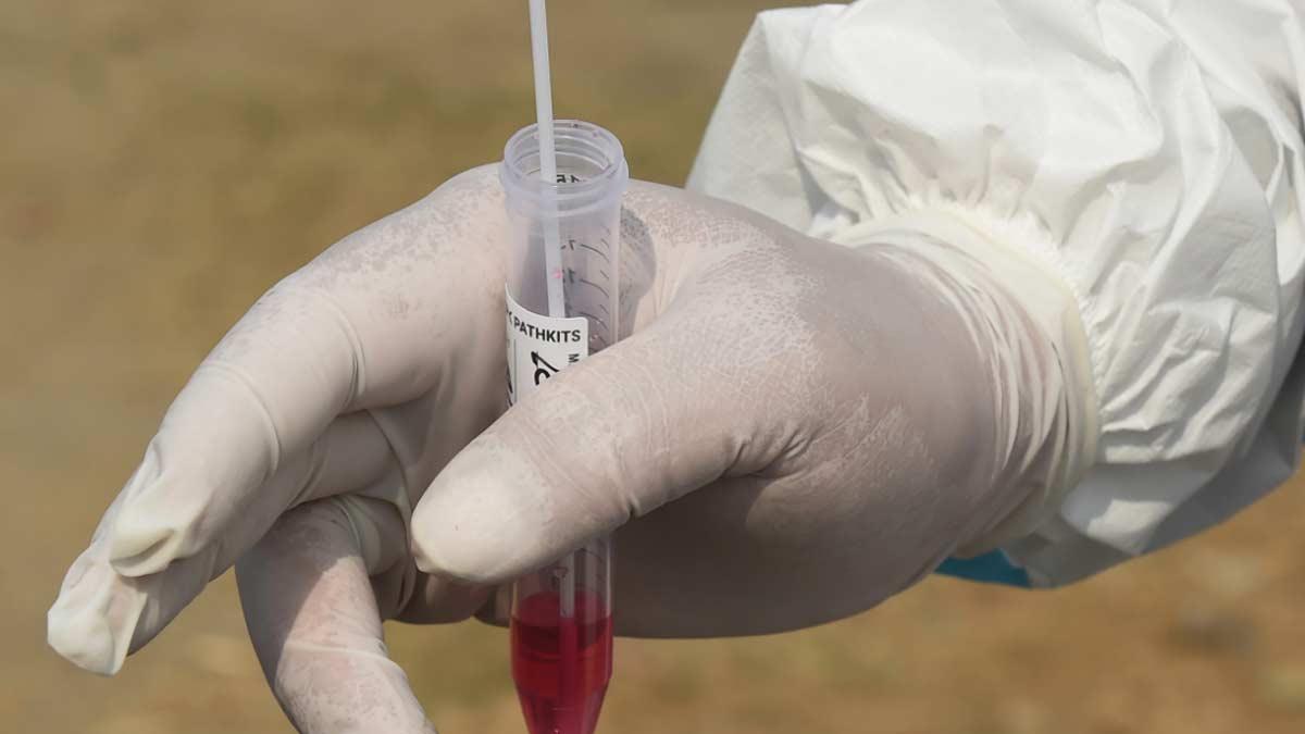 NewsWrap-पढ़ें, मंगलवार शाम की 5 बड़ी खबरें