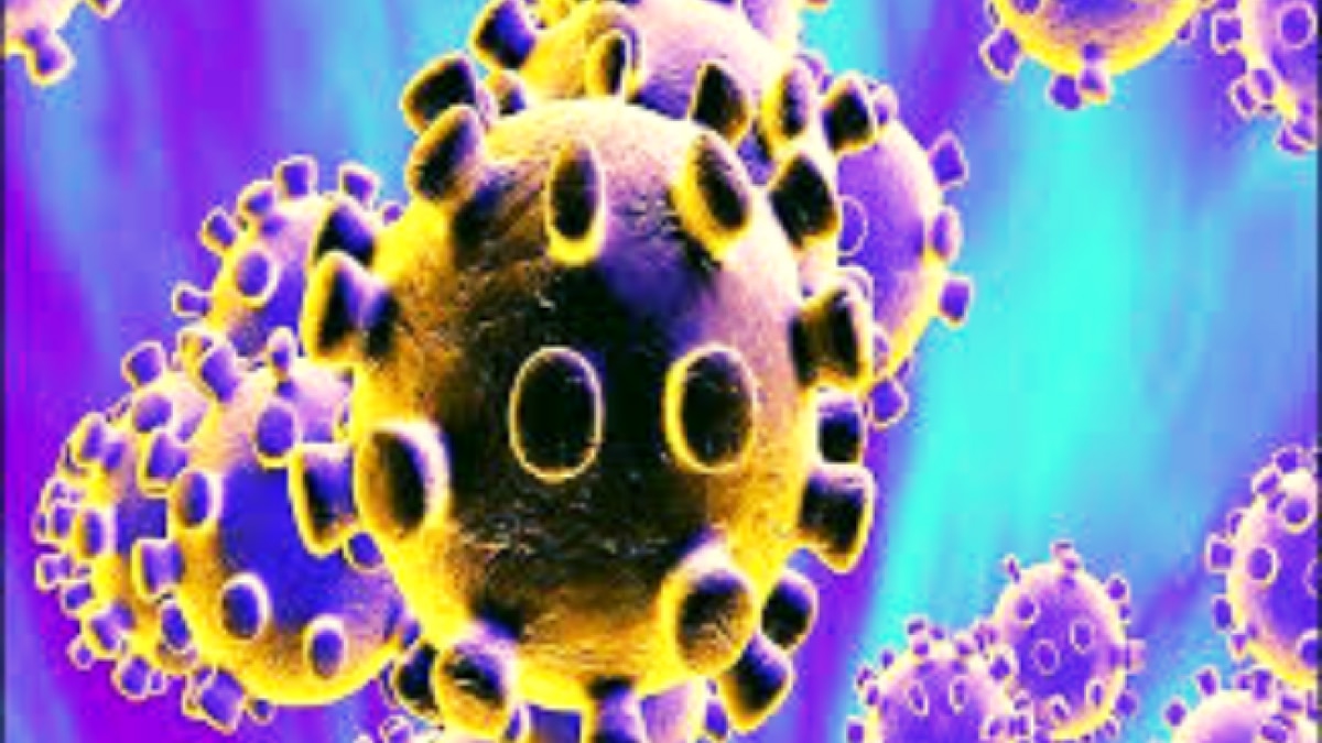 प्रतीकात्मक तस्वीर 