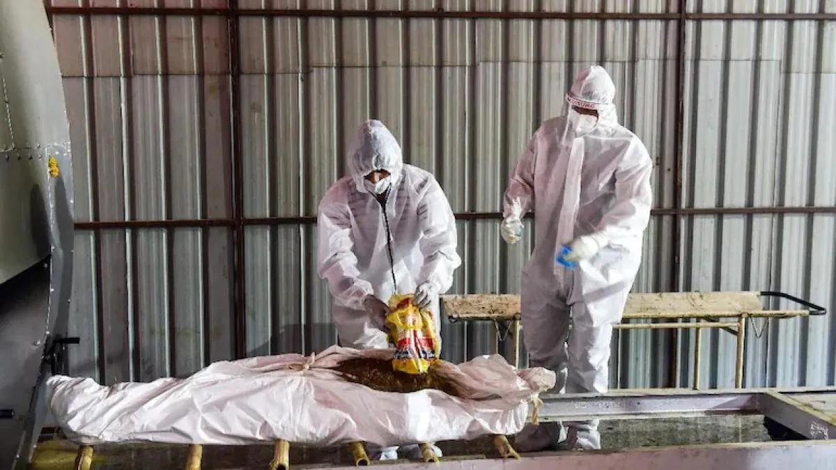 देश में कोरोना से होने वाली मौतों का आंकड़ा बढ़ता जा रहा है. (फाइल फोटो)