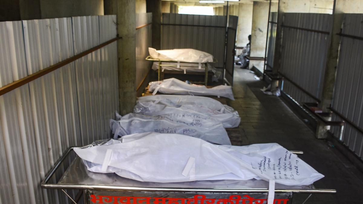 सांकेतिक तस्वीर